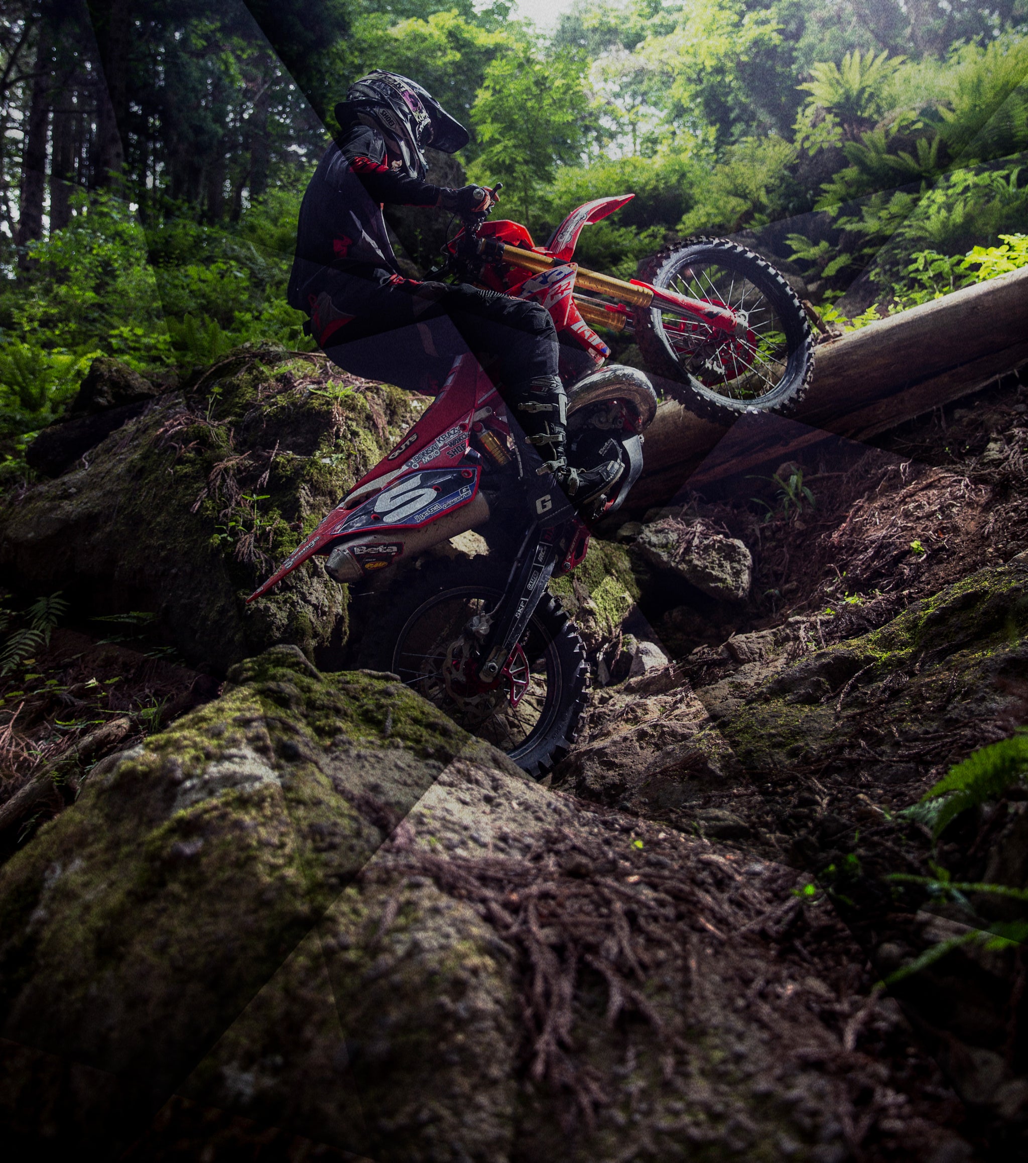 irc rider in the woods