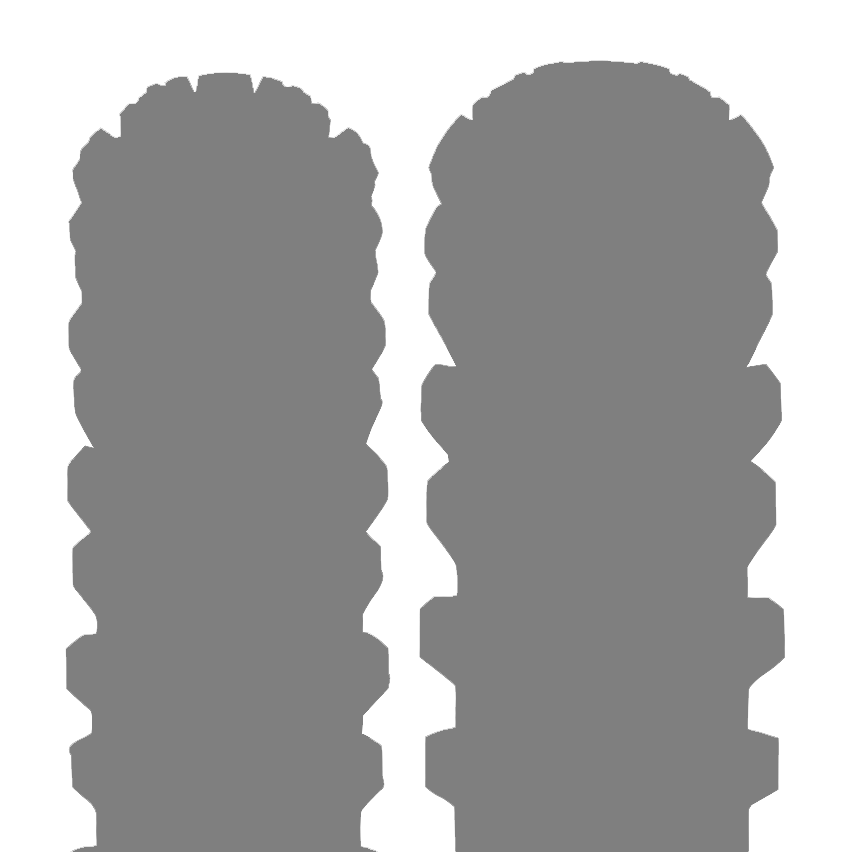 VX-10 Zenkai